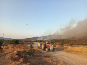 İZMİR (AA) – İzmir'in Urla ilçesinde tarım alanında başlayıp ormanlık