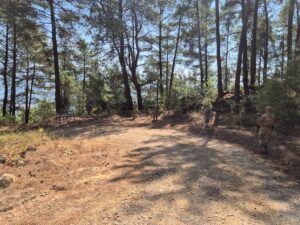 BURDUR (AA) – Burdur İl Jandarma Komutanlığınca, orman yangınlarının azaltılması,