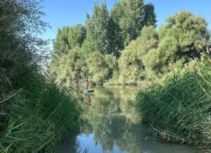 KAHRAMANMARAŞ (AA) – Kahramanmaraş'ın Elbistan ilçesinde, balık tutmaya çalışırken Ceyhan