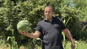 KARABÜK (AA) – Karabük'ün Eflani ilçesinde karpuz hasadı etkinliği gerçekleştirildi.