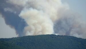 KARABÜK (AA) – Karabük'te ormanlık alanda çıkan yangını söndürmek için