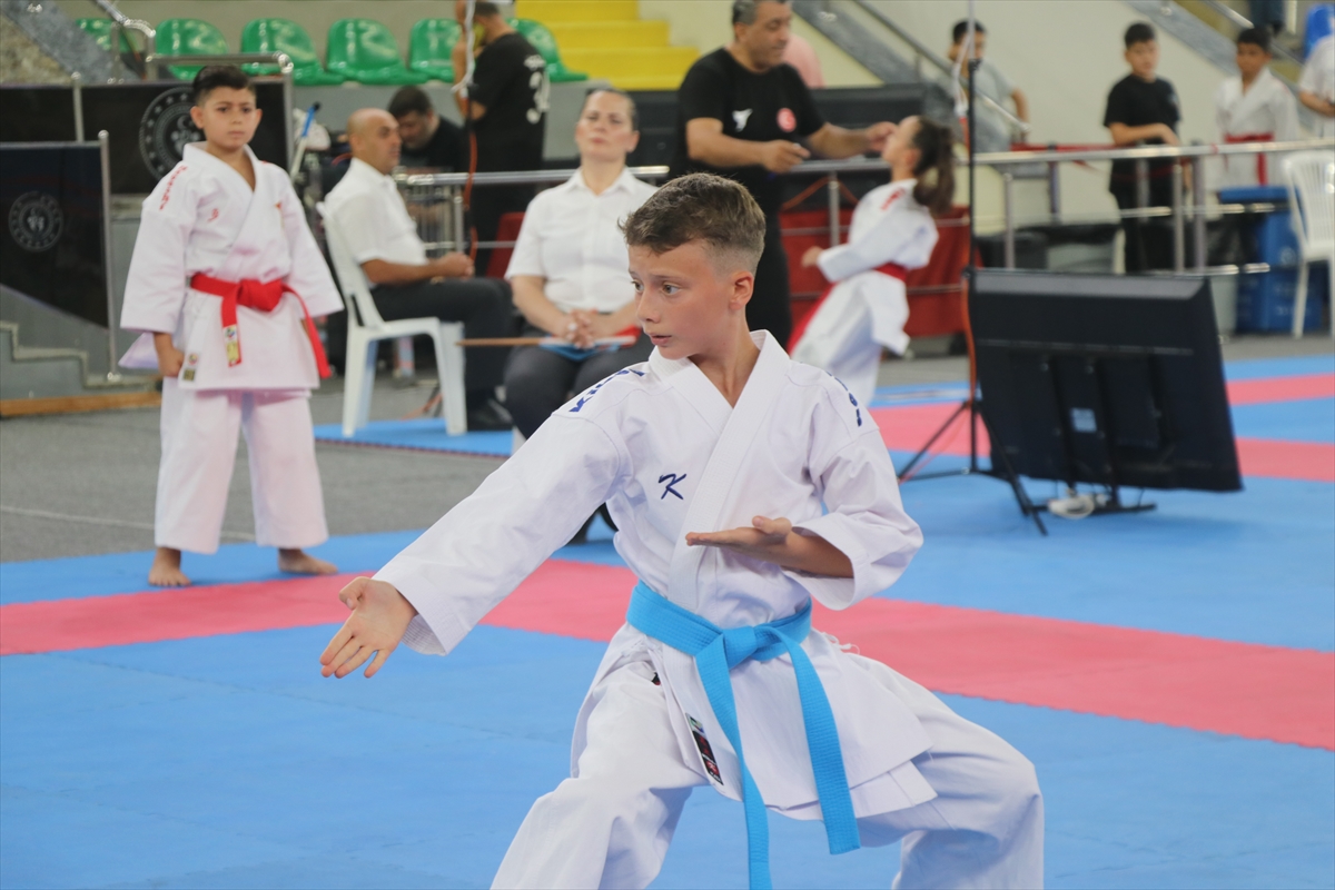 Karadeniz ve Hazar Ülkeleri Karate Şampiyonası, Rize'de başladı