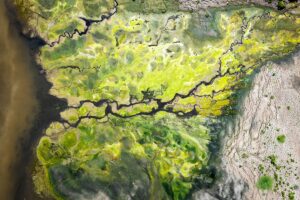 MALATYA (AA) – OKAN COŞKUN – Türkiye'nin en büyük barajlarından