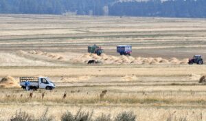 KARS (AA) – Kış mevsiminin uzun ve çetin geçtiği Kars'ta