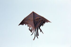 - Kastamonu merkez, Abana ve Taşköprü ilçelerinde düzenlenecek festivallerde uçurtmalar