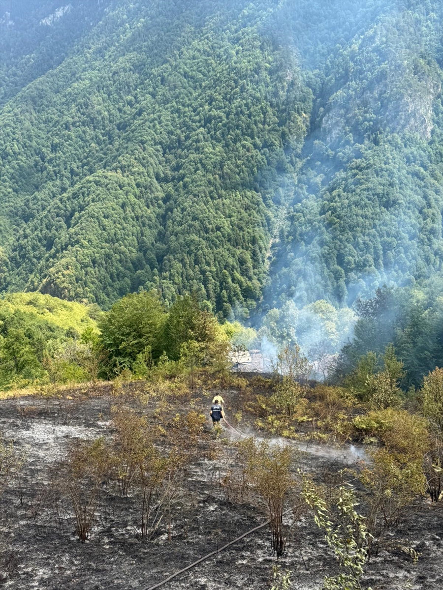 Kastamonu'da bir evde çıkarak ormanlık alana sıçrayan yangın söndürüldü