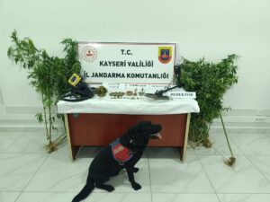 KAYSERİ (AA) – Kayseri'nin Develi ilçesinde düzenlenen uyuşturucu operasyonunda, tarihi