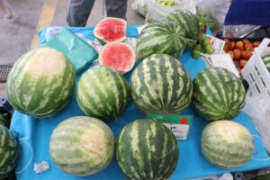 KAYSERİ (AA) – Kayseri’de, çoğunluğu kadın 30 üreticiden oluşan ve