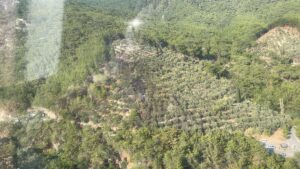 BALIKESİR (AA) – Balıkesir'in Edremit ilçesindeki Kazdağları Milli Parkı'nda çıkan