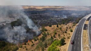 KIRKLARELİ (AA) – Kırklareli'nin Babaeski ilçesinde ağaçlık alanda çıkan yangın
