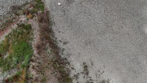 KIRKLARELİ (AA) – Kırklareli'nin Babaeski ilçesindeki Oruçlu Göleti, kuraklık nedeniyle