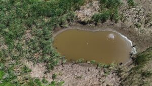 KIRKLARELİ (AA) – Kırklareli'ndeki Sazlık Göleti, kuraklık nedeniyle kuruma noktasına