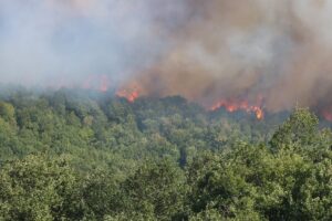 ​​​​​KOCAELİ (AA) – Kocaeli'nin Karamürsel ilçesinde çıkan orman yangınına havadan