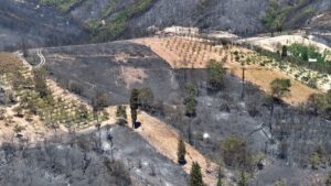 KOCAELİ (AA) – Kocaeli'nin Karamürsel ilçesinde çıkan yangında zarar gören