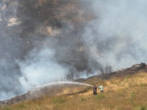 KOCAELİ (AA) – Kocaeli'nin Derince ilçesinde otluk alanda çıkan yangını