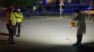 KONYA (AA) – Konya'nın Karatay ilçesinde, ticari aracın çarptığı yaya