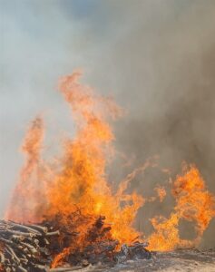 MALATYA (AA) – Malatya'nın Doğanyol ilçesinde çıkan orman yangınını söndürmek