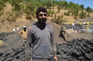 MUŞ (AA) – Muş'ta mangal kömürü üreten işçiler, bunaltıcı sıcakta