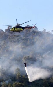 MANİSA (AA) – Manisa'nın Soma ve Alaşehir ilçelerindeki orman yangınlarına