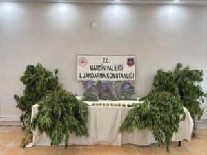 MARDİN (AA) – Mardin'in Derik ilçesinde düzenlenen uyuşturucu operasyonunda gözaltına