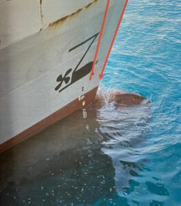 - Gemi kaptanı C.T. ile beraberindeki bir kişinin geminin demirlediği