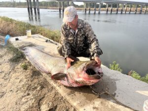 EDİRNE (AA) – Edirne'de Meriç Nehri'nde, oltayla yaklaşık 2,5 metre
