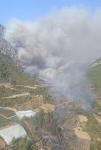 MERSİN (AA) – Mersin'in Anamur ilçesinde ormanlık alanda çıkan yangına