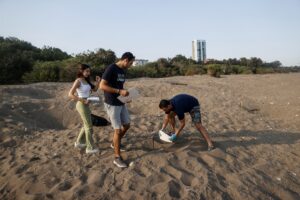 MERSİN (AA) – Mersin'in Mezitli ilçesinde yumurtalarından çıkan yeşil deniz