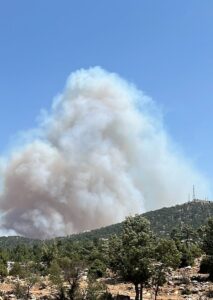 MERSİN (AA) – Mersin'in Silifke ilçesinde ormanlık alanda çıkan yangına