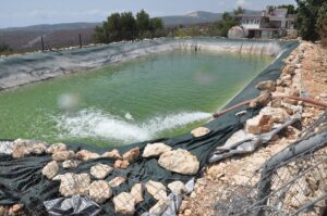 MERSİN (AA) – Mersin'in Silifke ilçesinde, 26 Temmuz'da çıkan orman