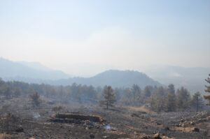 MERSİN (AA) – Mersin'in Silifke ilçesindeki orman yangınına havadan ve