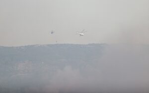 - İlçede 6 mahalle ve yerleşim yerlerinin olduğu 5 mezranın