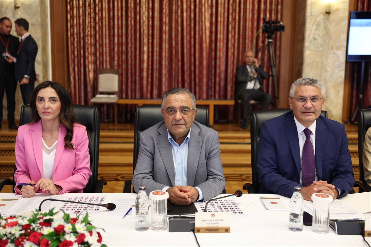 Milli Dayanışma, Kardeşlik ve Demokrasi Komisyonu toplandı