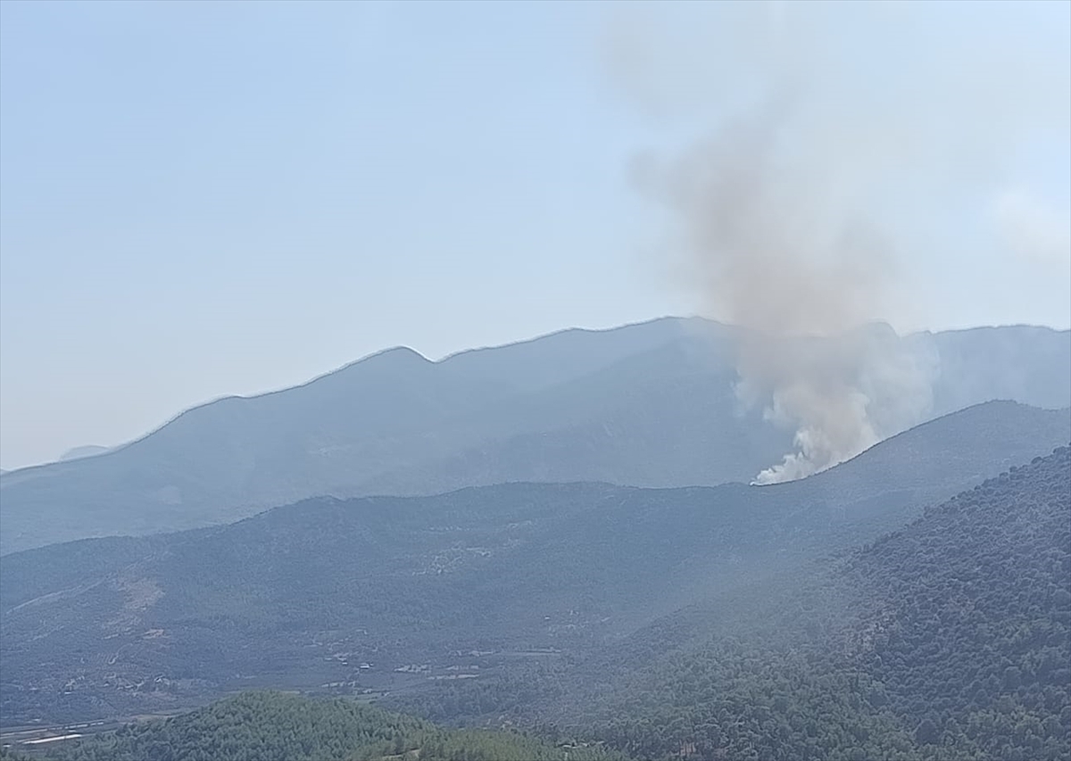 Muğla'da ormanlık alanda yangın çıktı