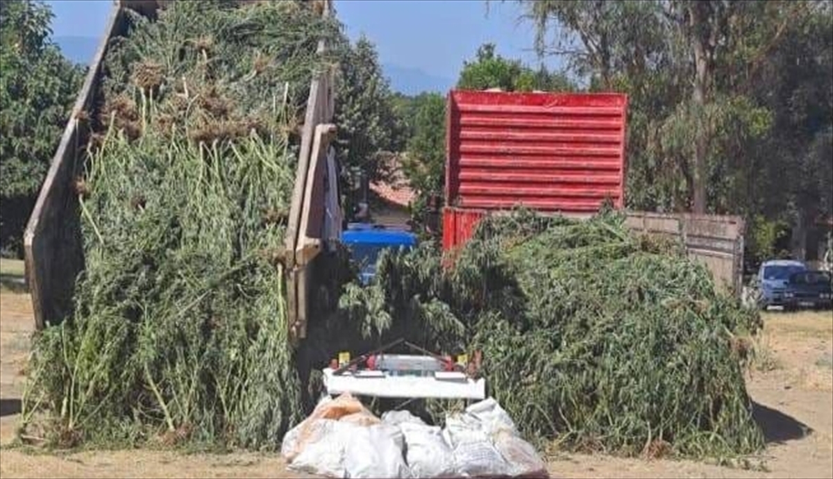 Muğla'da uyuşturucu ve tarihi eser operasyonunda 3 zanlı yakalandı
