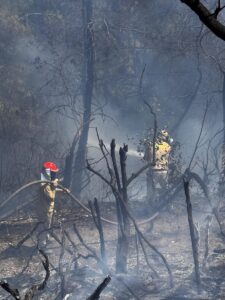 OSMANİYE (AA) – Osmaniye'nin Kadirli ilçesinde çıkan orman yangını, ekiplerin