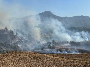 OSMANİYE (AA) – Osmaniye'nin Düziçi ilçesinde çıkan orman yangınına havadan