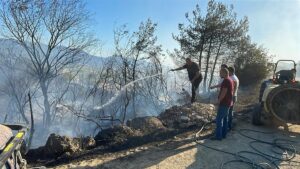 SAKARYA (AA) – Sakarya'nın Pamukova ilçesinde makilik alanda çıkan yangın