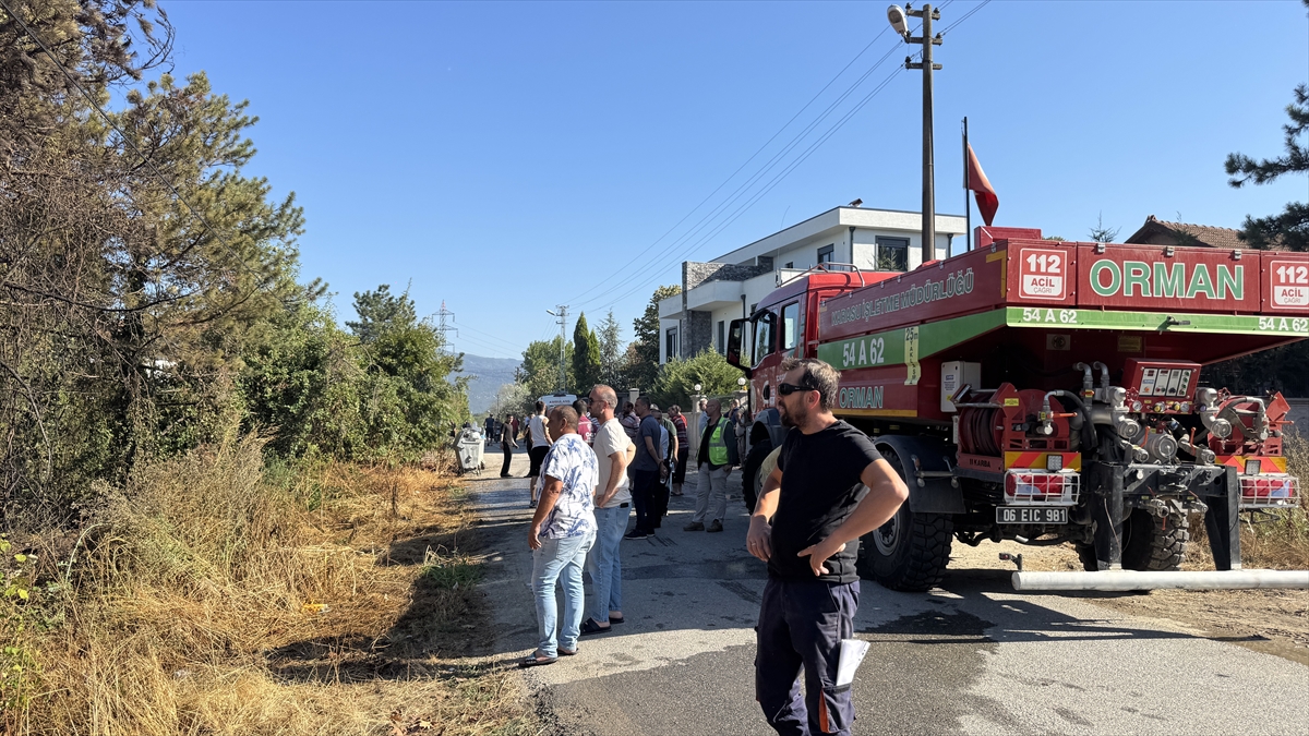 Sakarya'da yerleşim alanı yakınında çıkan orman yangını söndürüldü
