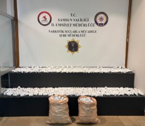 SAMSUN (AA) – Samsun'un 19 Mayıs ilçesinde ahıra gizlenen 53