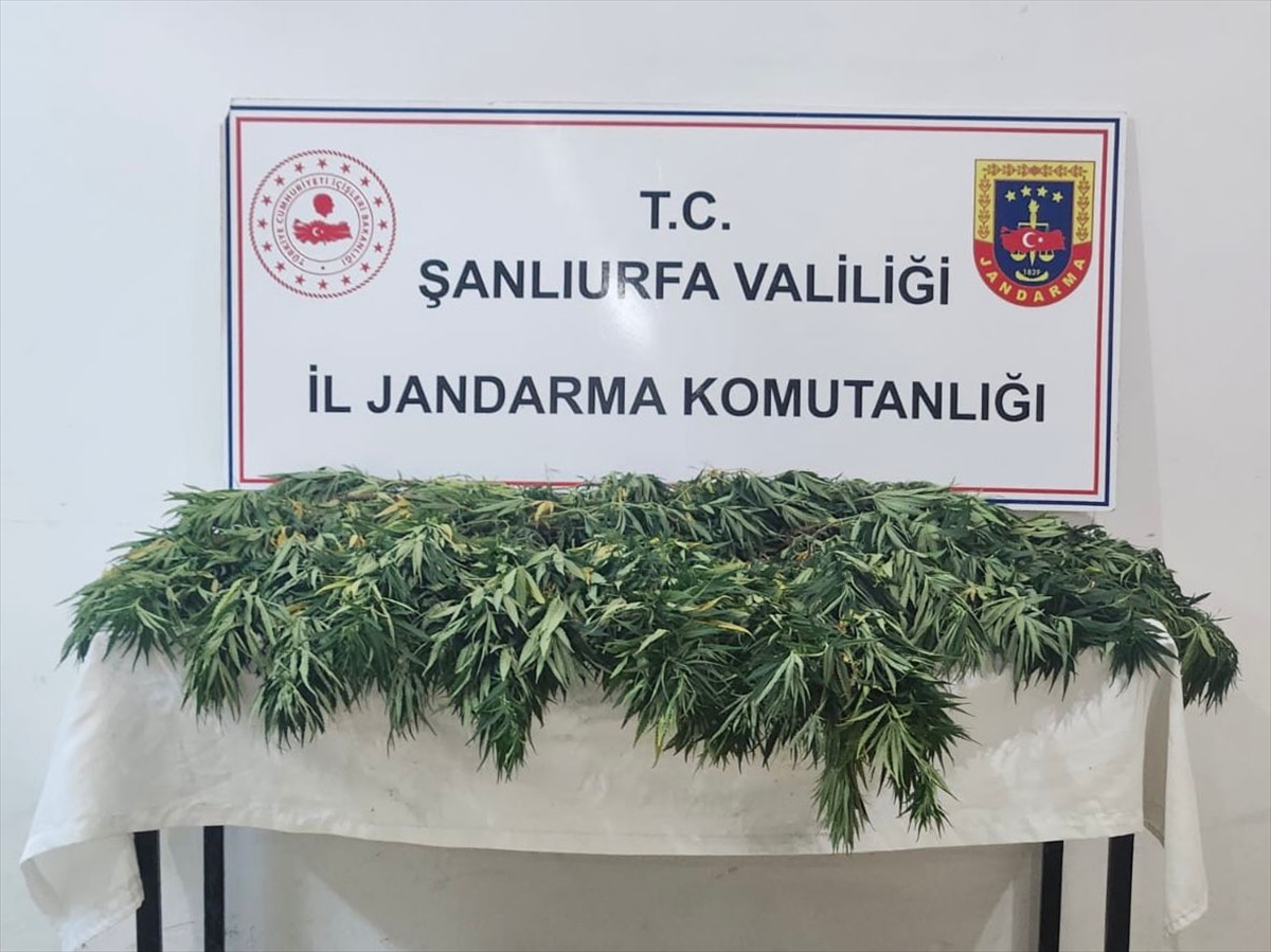 Şanlıurfa'da uyuşturucu operasyonunda 2 şüpheli yakalandı