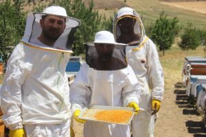 SİVAS (AA) – İBRAHİM ÖZEL – Sivas'ta coğrafi işaret tescilli