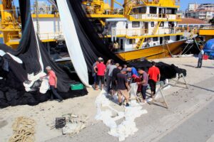 SİNOP (AA) – Sinop'ta balıkçılar av yasağının sona ereceği 1