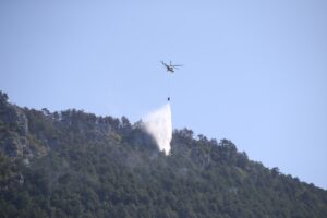 SİNOP (AA) – Sinop'un Durağan ilçesinde çıkan ve büyük ölçüde