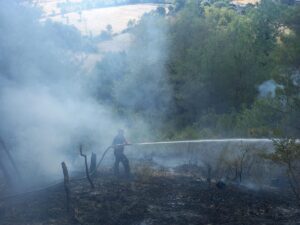 SİNOP (AA) – Sinop’un Gerze ilçesinde çıkan orman yangınına ekiplerin