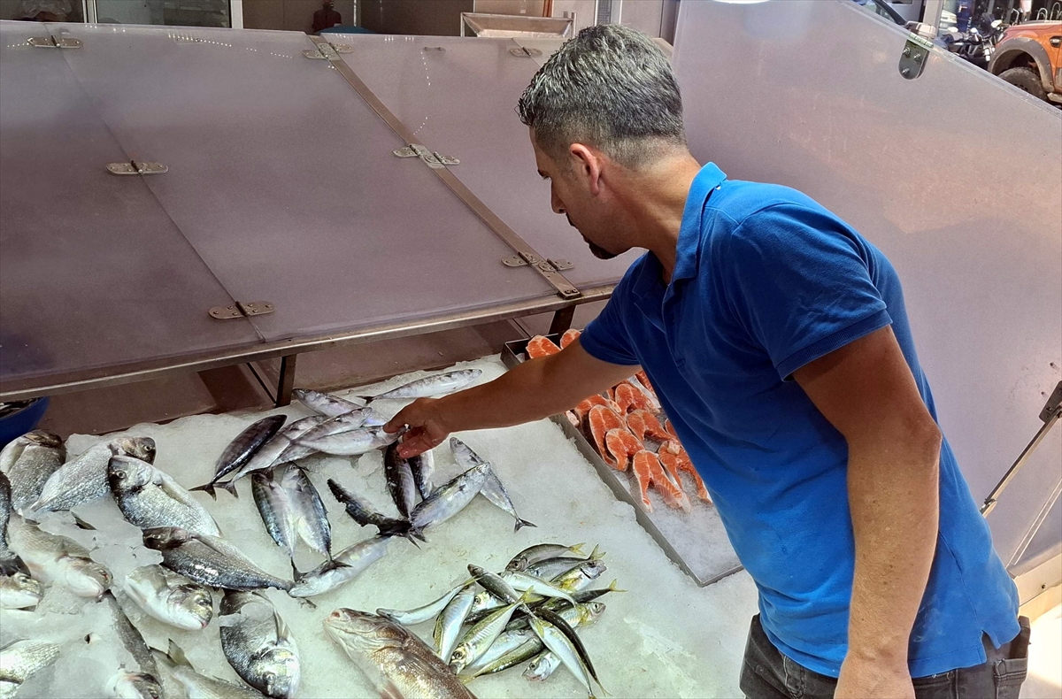 Sinop'ta palamutlar tanesi 350 liradan tezgahlarda satışa sunuldu