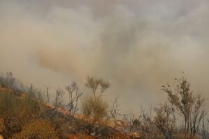 - Hama kırsalındaki bazı yerleşimler, yangın tehdidi nedeniyle tahliye edildi