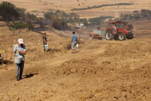 TEKİRDAĞ (AA) – Tekirdağ'ın Süleymanpaşa ilçesinde anızdan ağaçlık alana sıçrayan