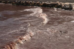 TEKİRDAĞ (AA) – Tekirdağ'da kuvvetli rüzgar nedeniyle sahilin bir kısmında