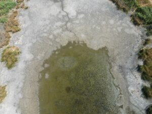 TEKİRDAĞ (AA) – Tekirdağ'ın Muratlı ilçesindeki Kırkkepenekli Göleti'nde, su seviyesinin